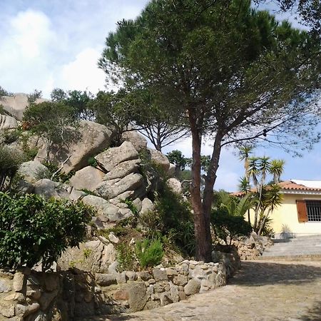Bed and Breakfast La Fonte Dell'Ulivo 3 à La Maddalena  Extérieur photo