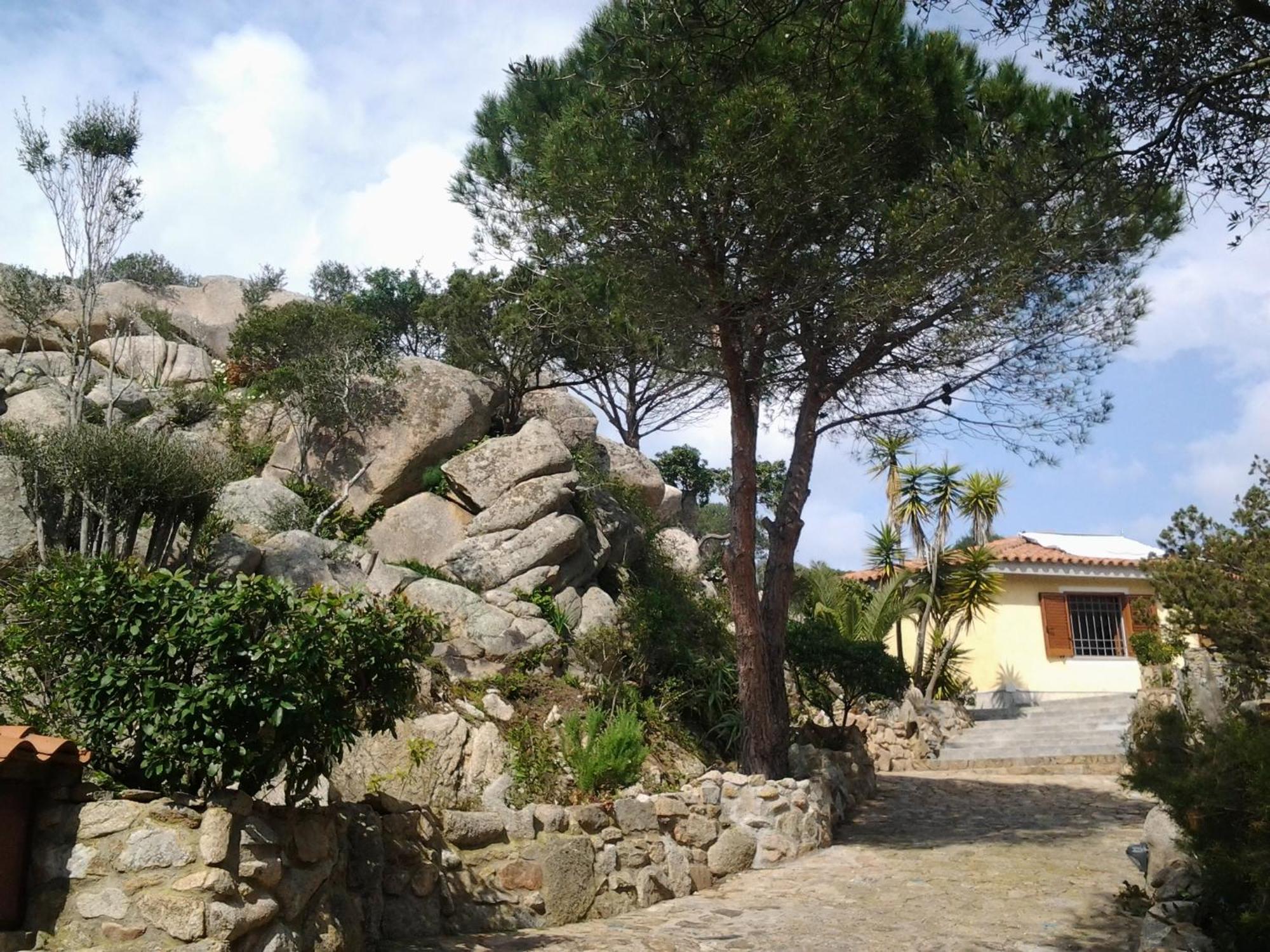 Bed and Breakfast La Fonte Dell'Ulivo 3 à La Maddalena  Extérieur photo