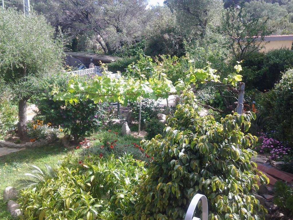 Bed and Breakfast La Fonte Dell'Ulivo 3 à La Maddalena  Extérieur photo