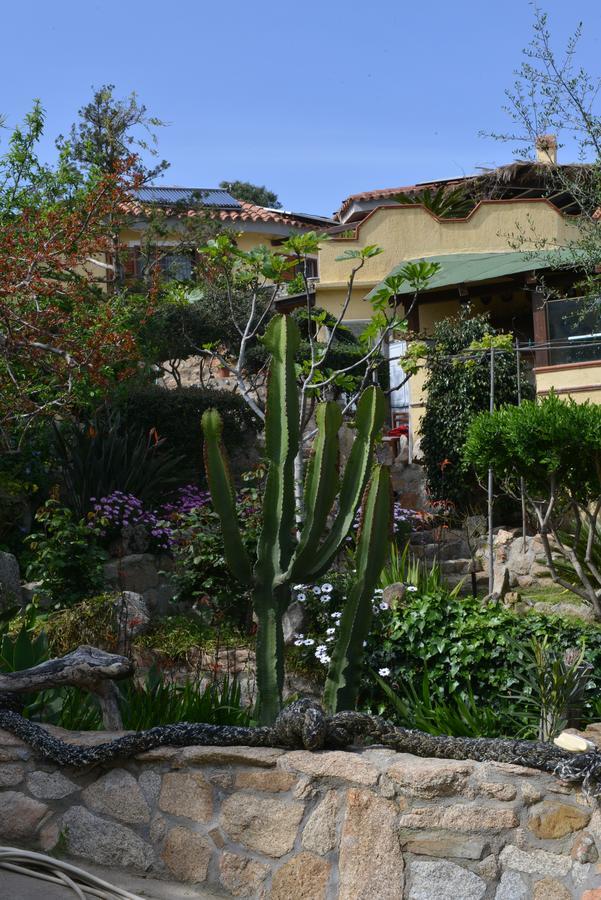 Bed and Breakfast La Fonte Dell'Ulivo 3 à La Maddalena  Extérieur photo